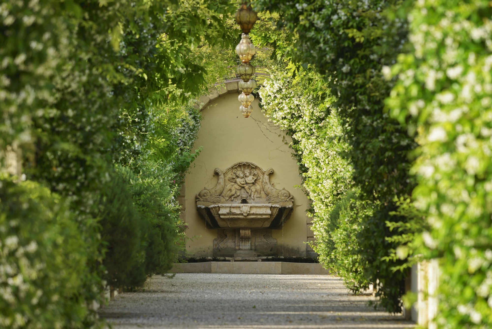 Villa Amista