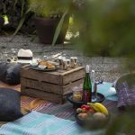 Picnic