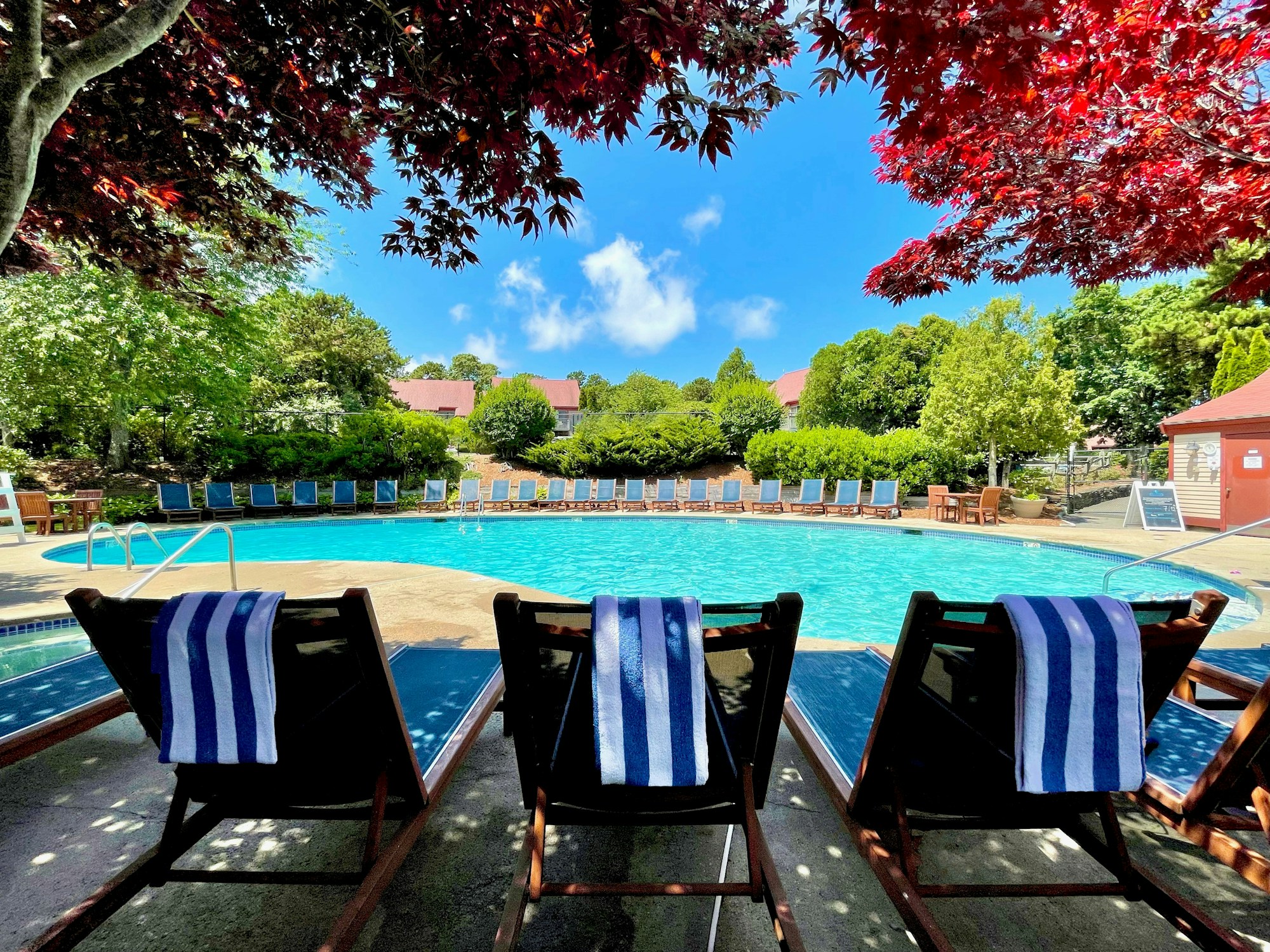 Bay Pines Pool