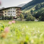 Exterior Summer