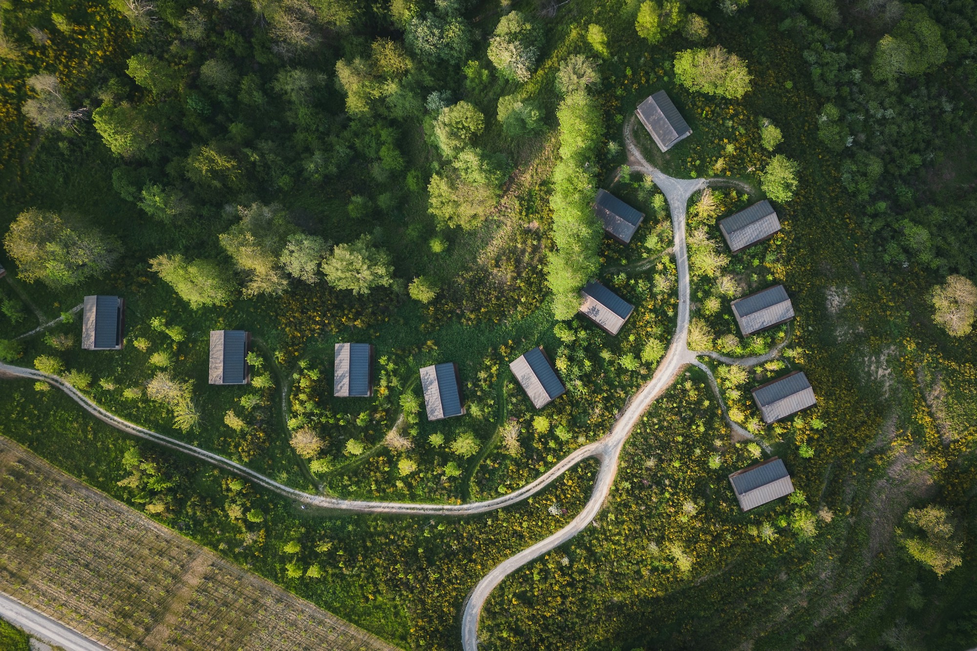 Oasyhotel Aerial