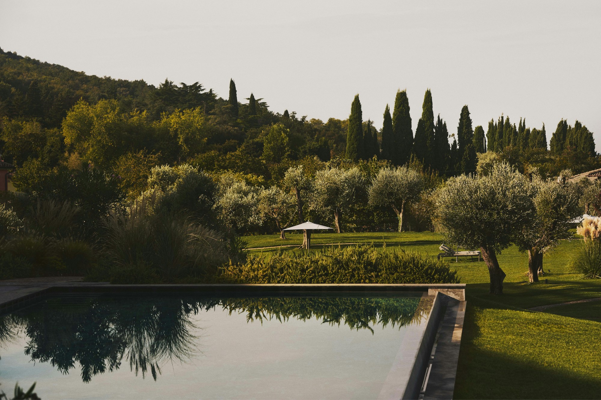 Garden & Pool