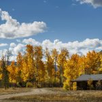 Mackward Cabin - Exterior