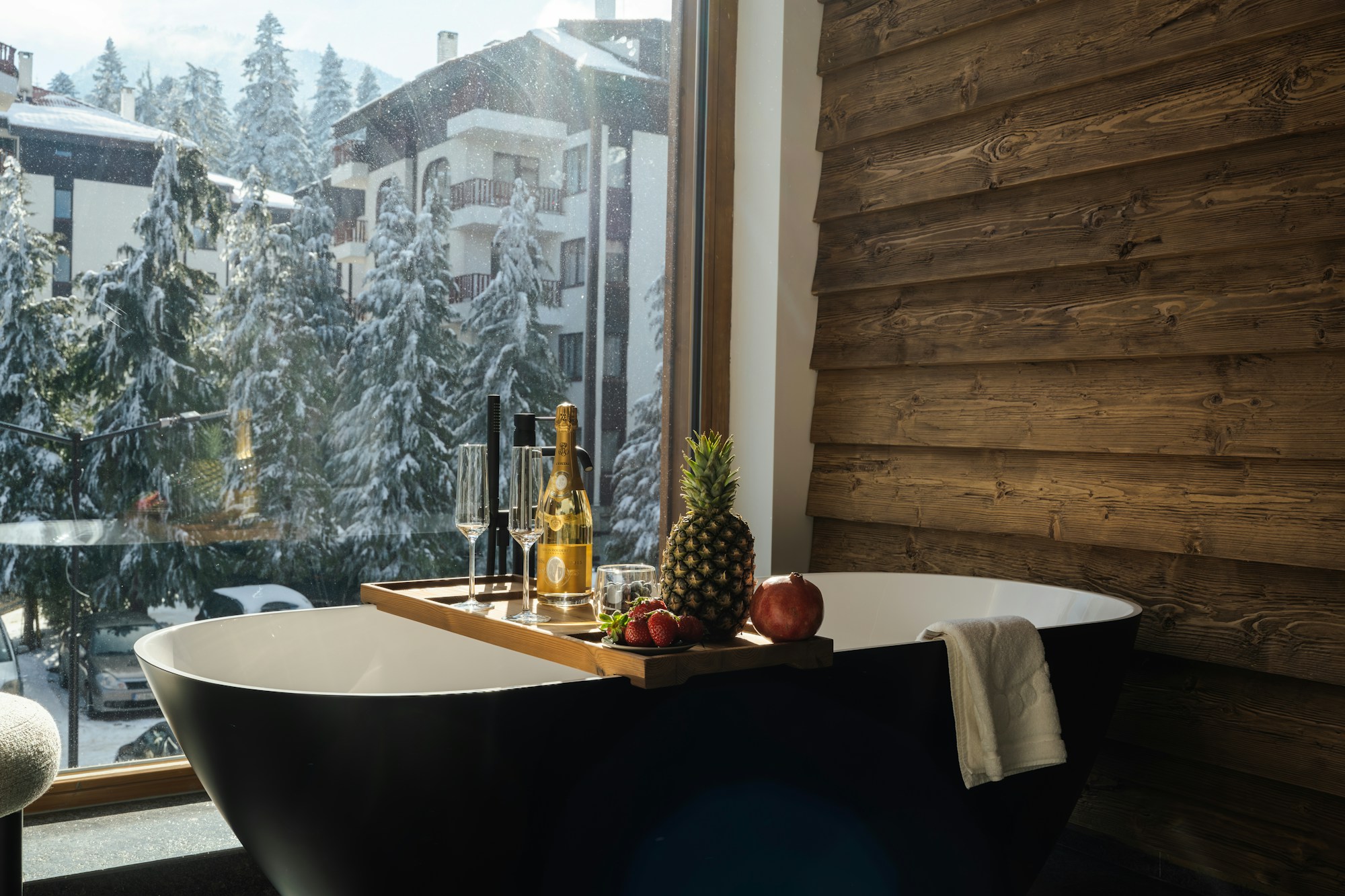 Wellness Suite - Bathtub