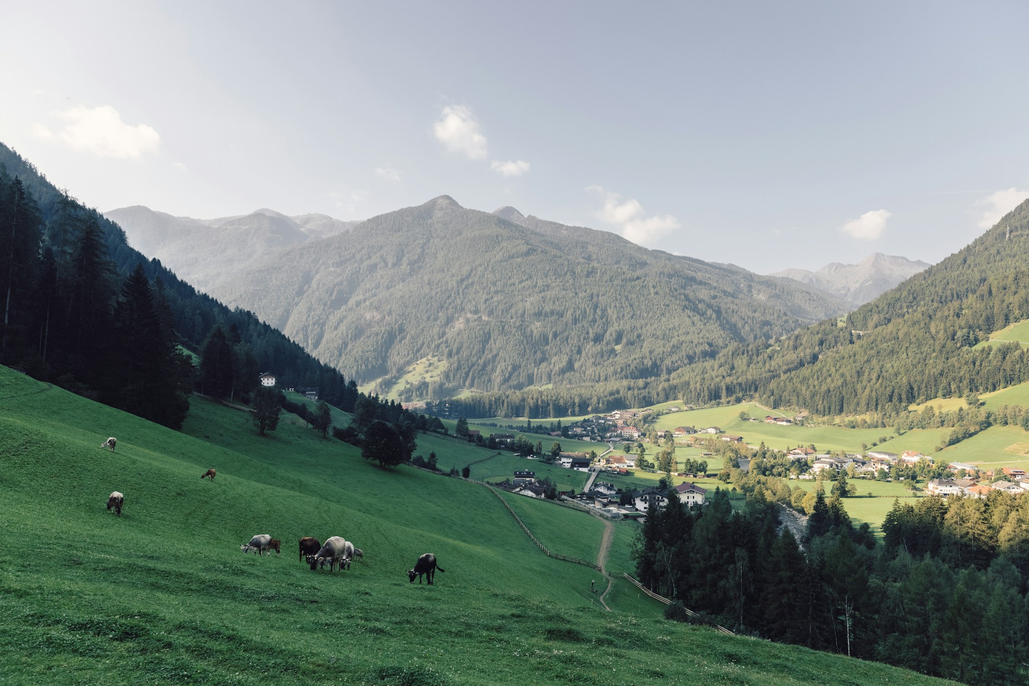 Nature