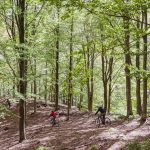 Cycling Activity