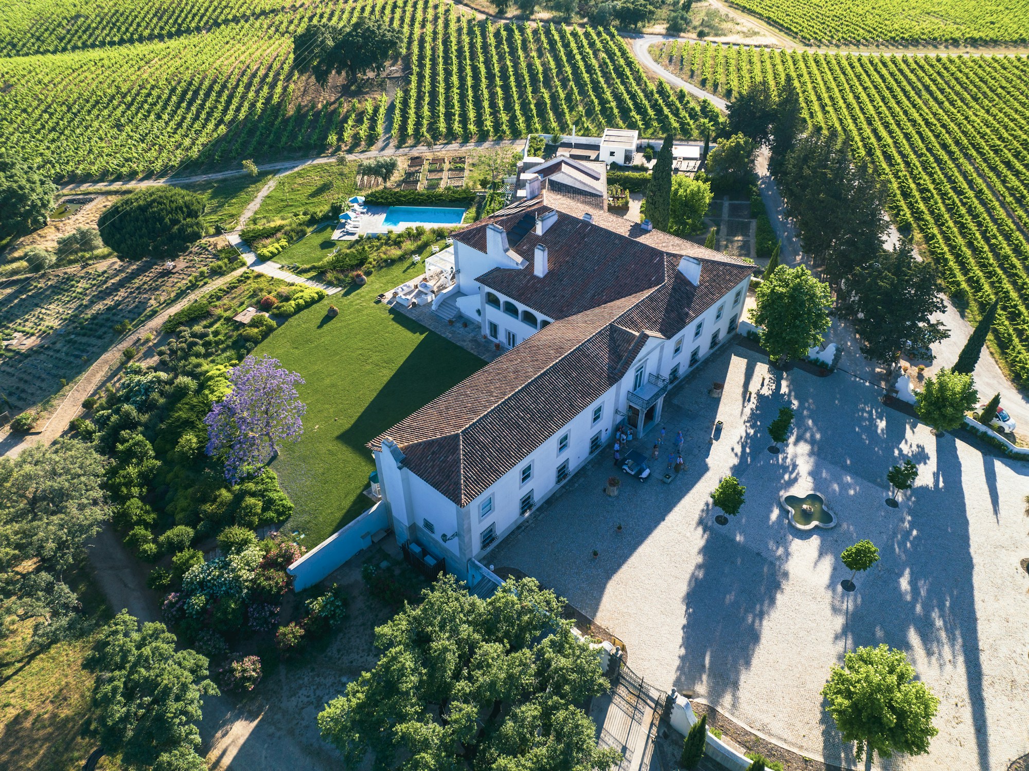 The Estate
