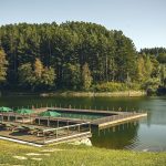 Oasyhotel Lake