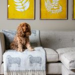 Latterbarrow Suite - Dog friendly