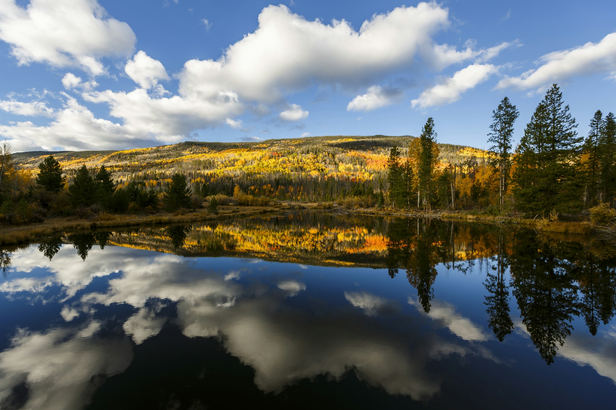 Pond