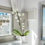 Double Room Caldera View