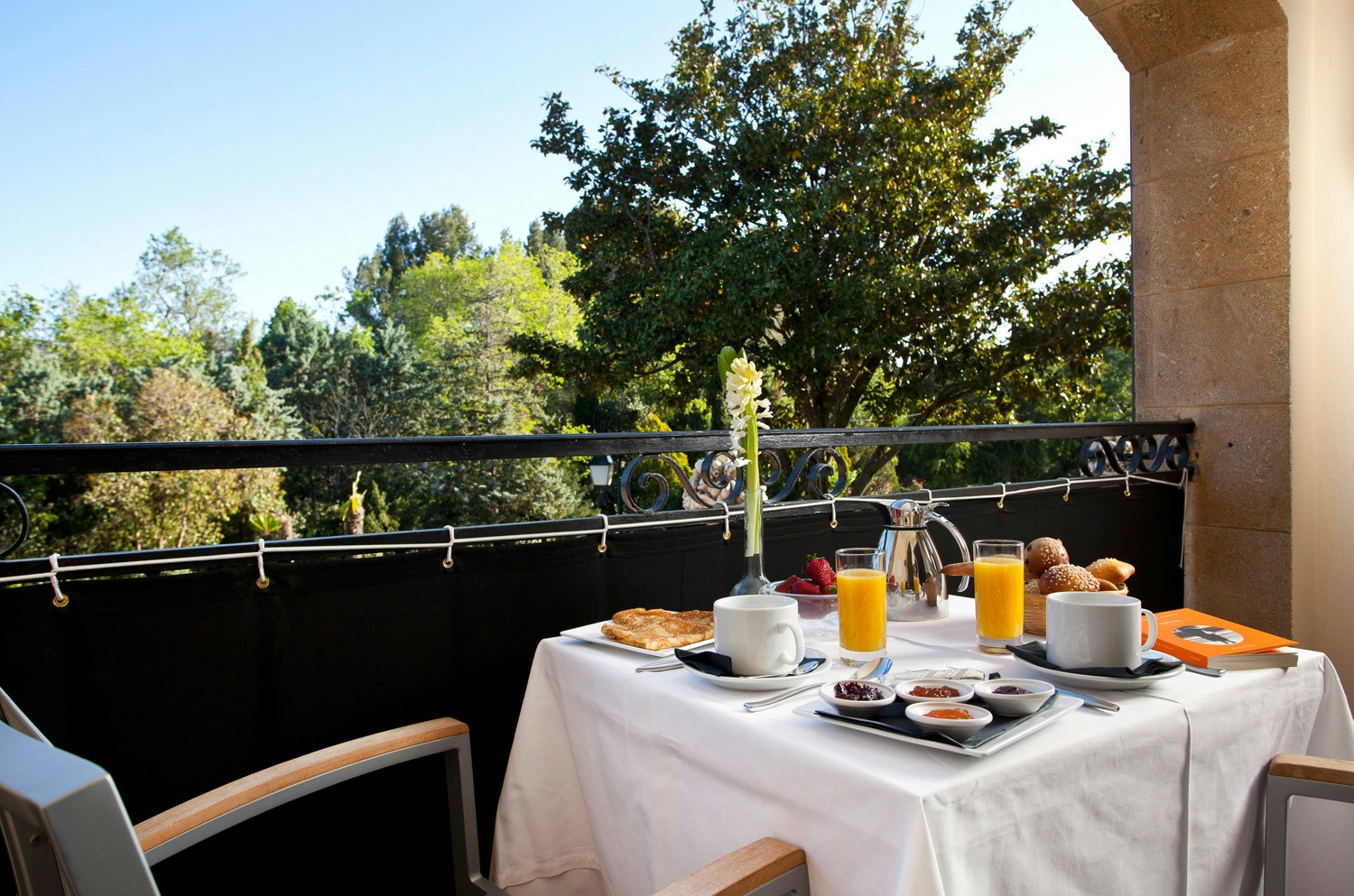Deluxe room with Terrace