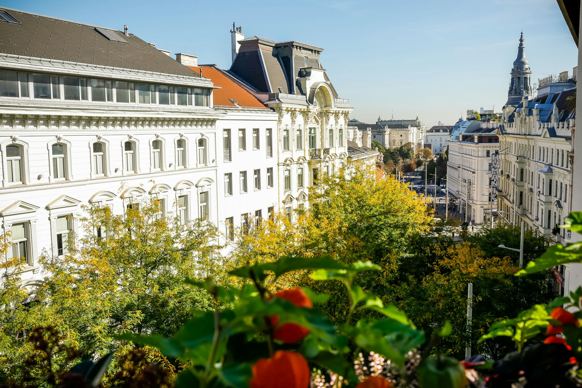 Studio Balcony View