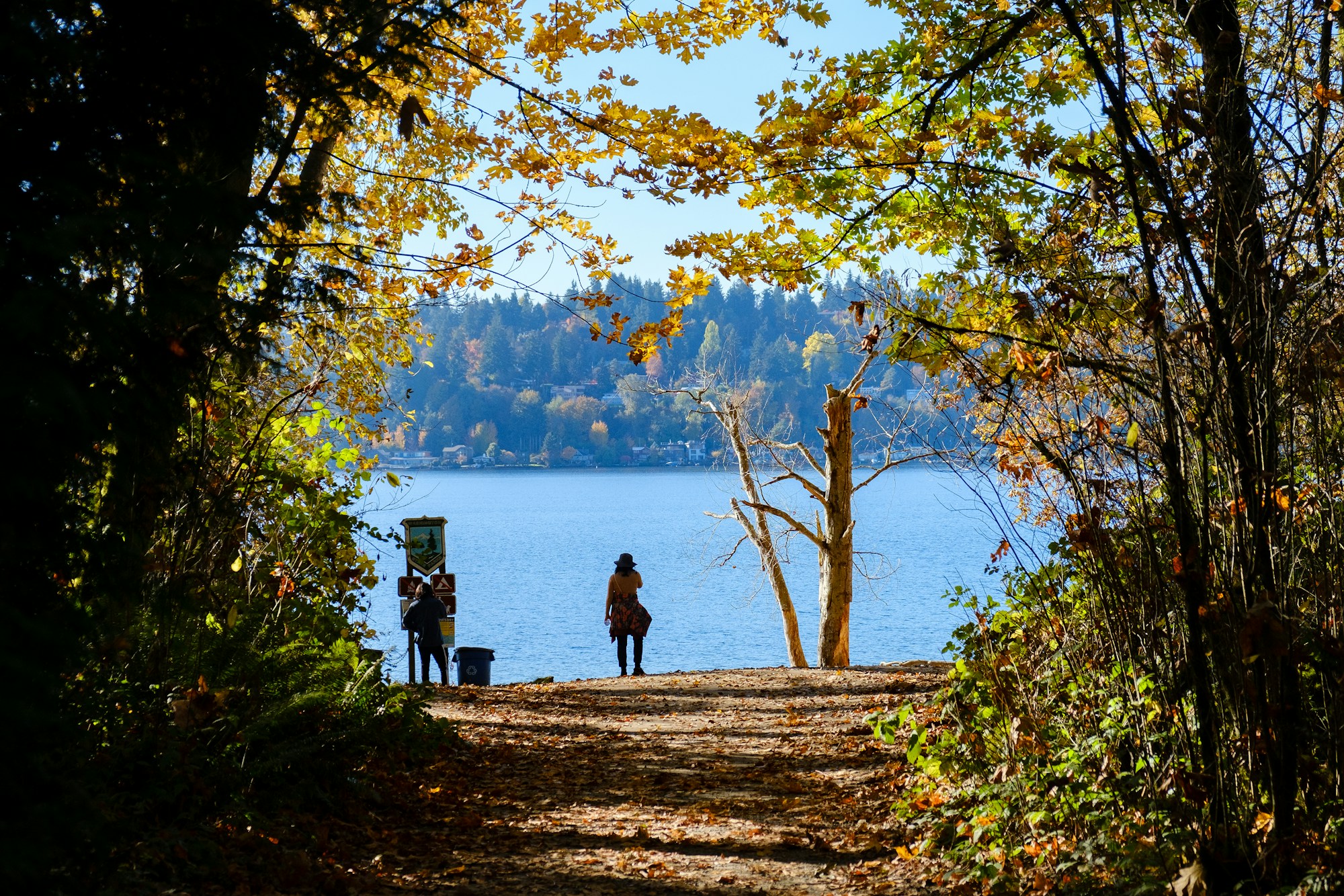 Shore of Lake Washington