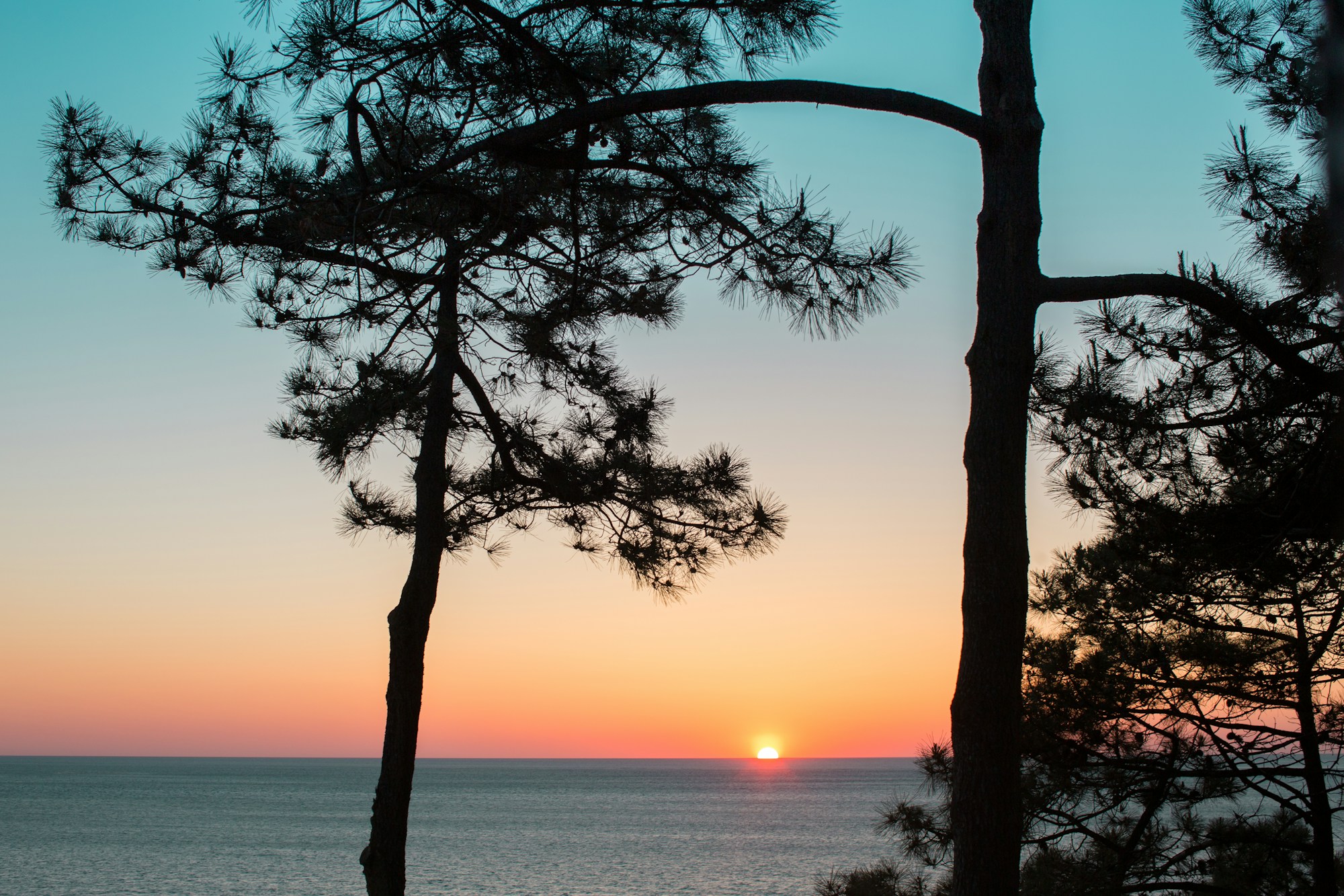 Sunset View