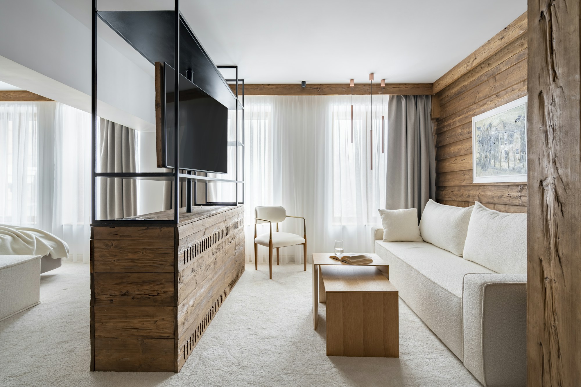 Deluxe Suite Park View - Living Area
