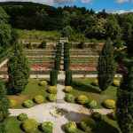 Rose Garden