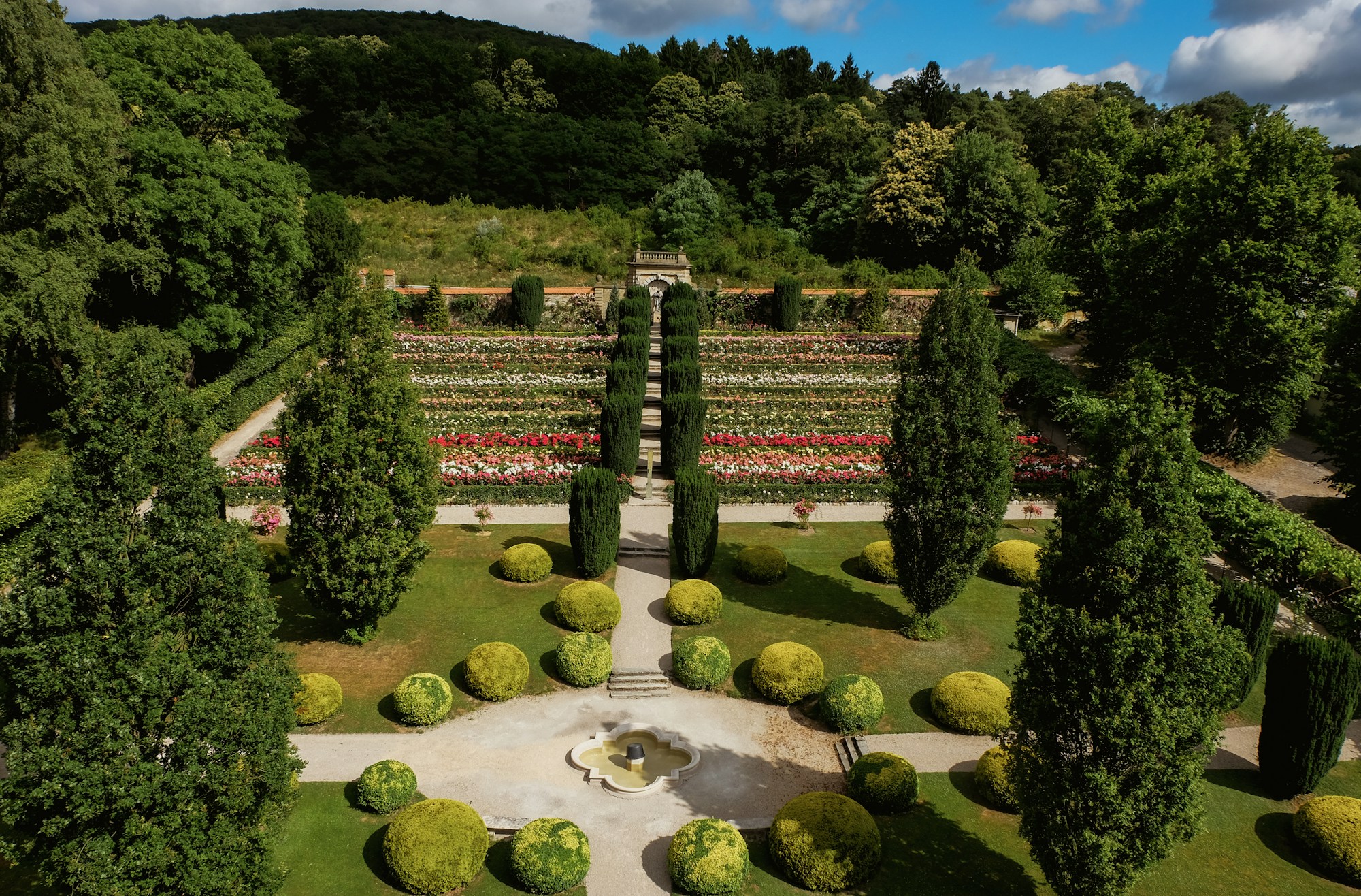 Rose Garden
