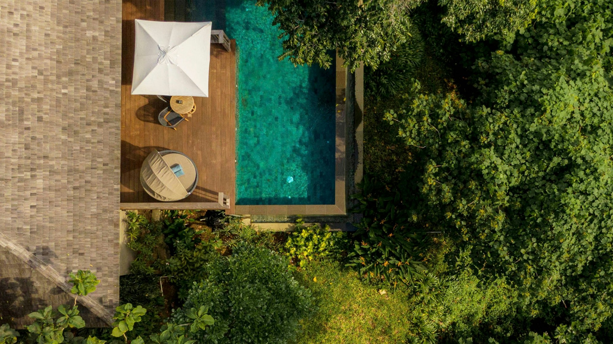 Jungle Pool Pavilion - Pool