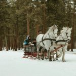 Winter Sleigh Ride