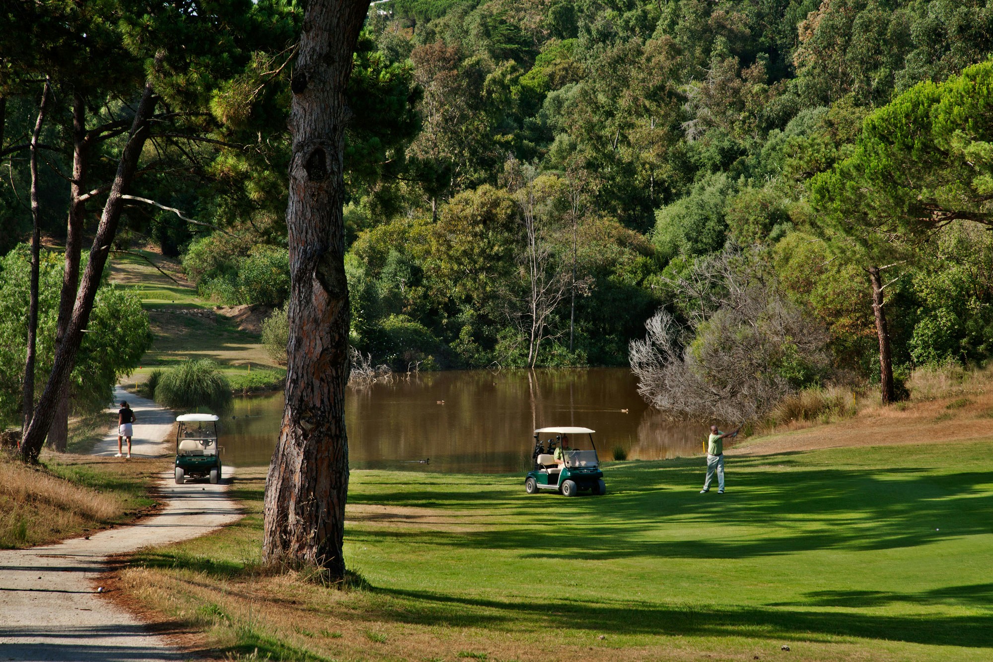 Golf
