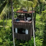 Canopy Suite - Rooftop