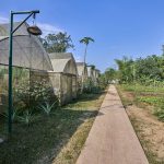 Organic Farm