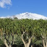 Etna View