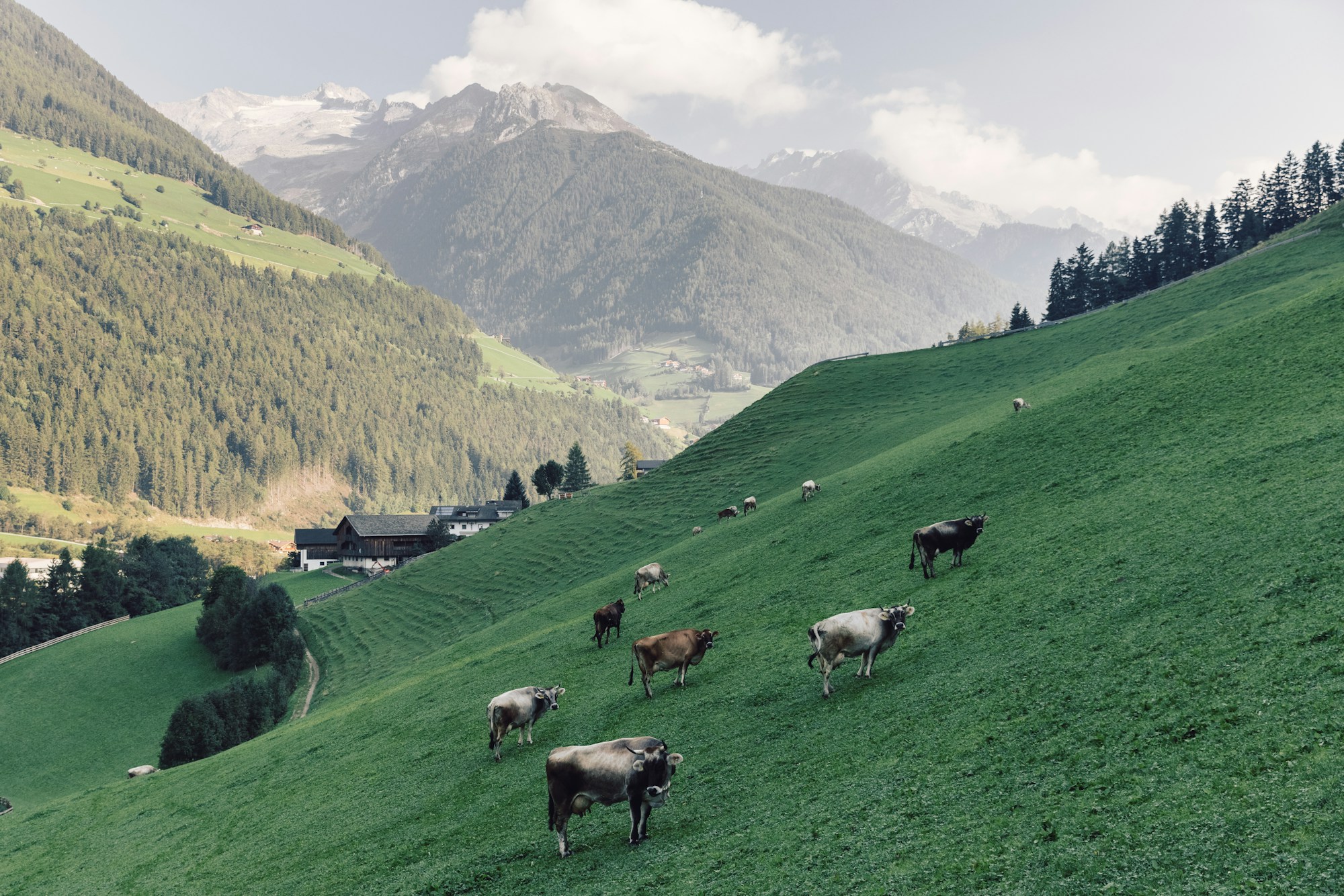 Nature