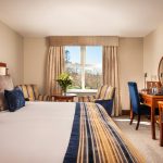 Deluxe King Bedroom