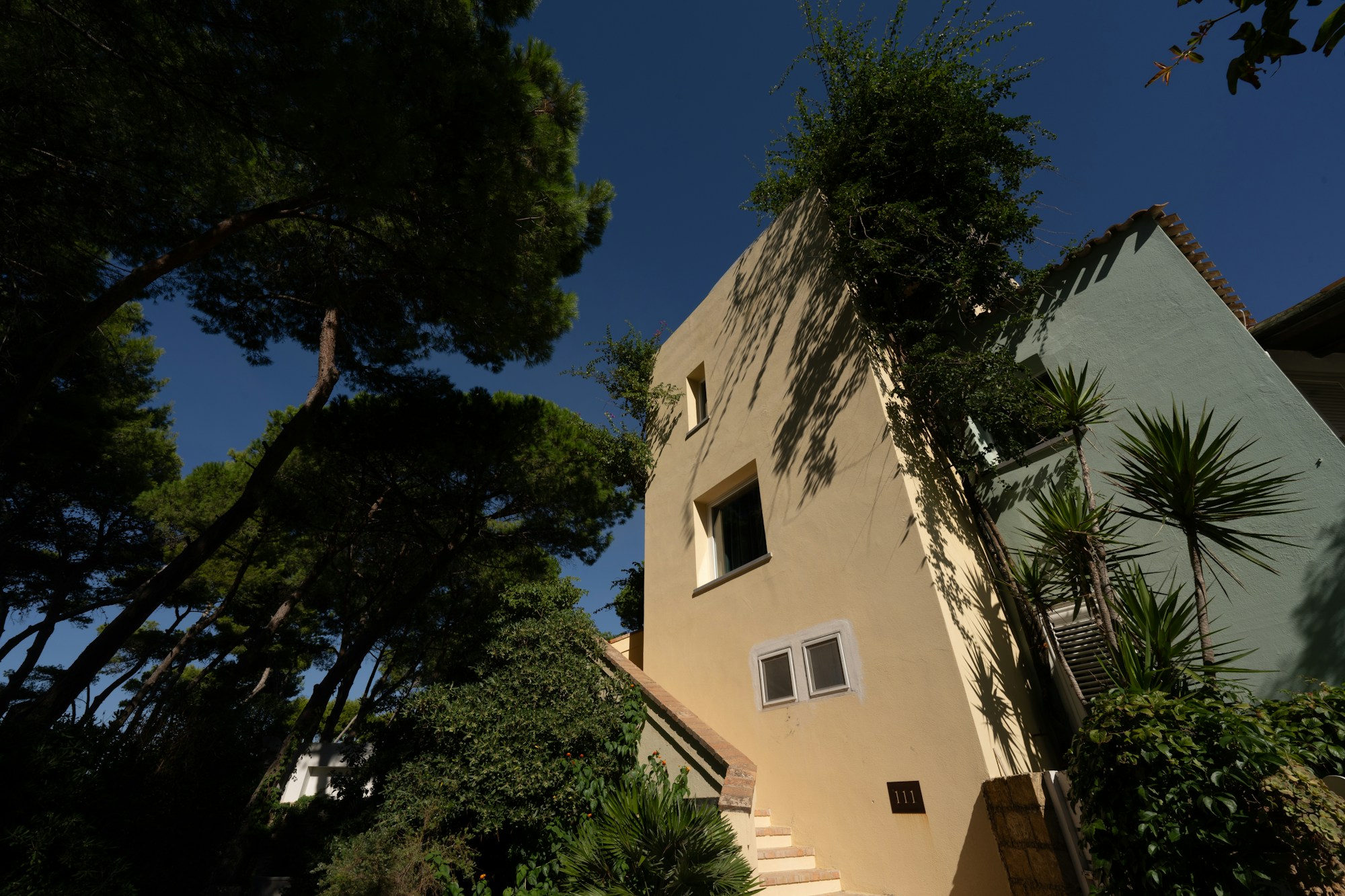 Deluxe Vertical Suite