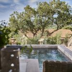 Deluxe Pool Suite - Pool