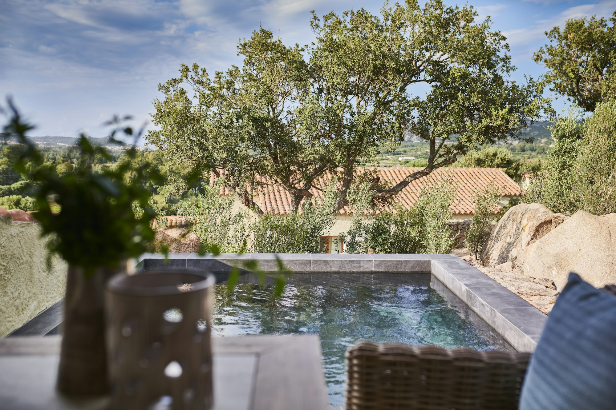 Deluxe Pool Suite - Pool