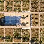 The Margi Farm