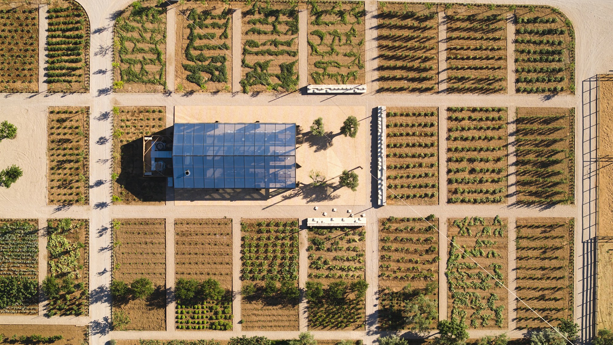 The Margi Farm