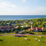 Mansion Aerial