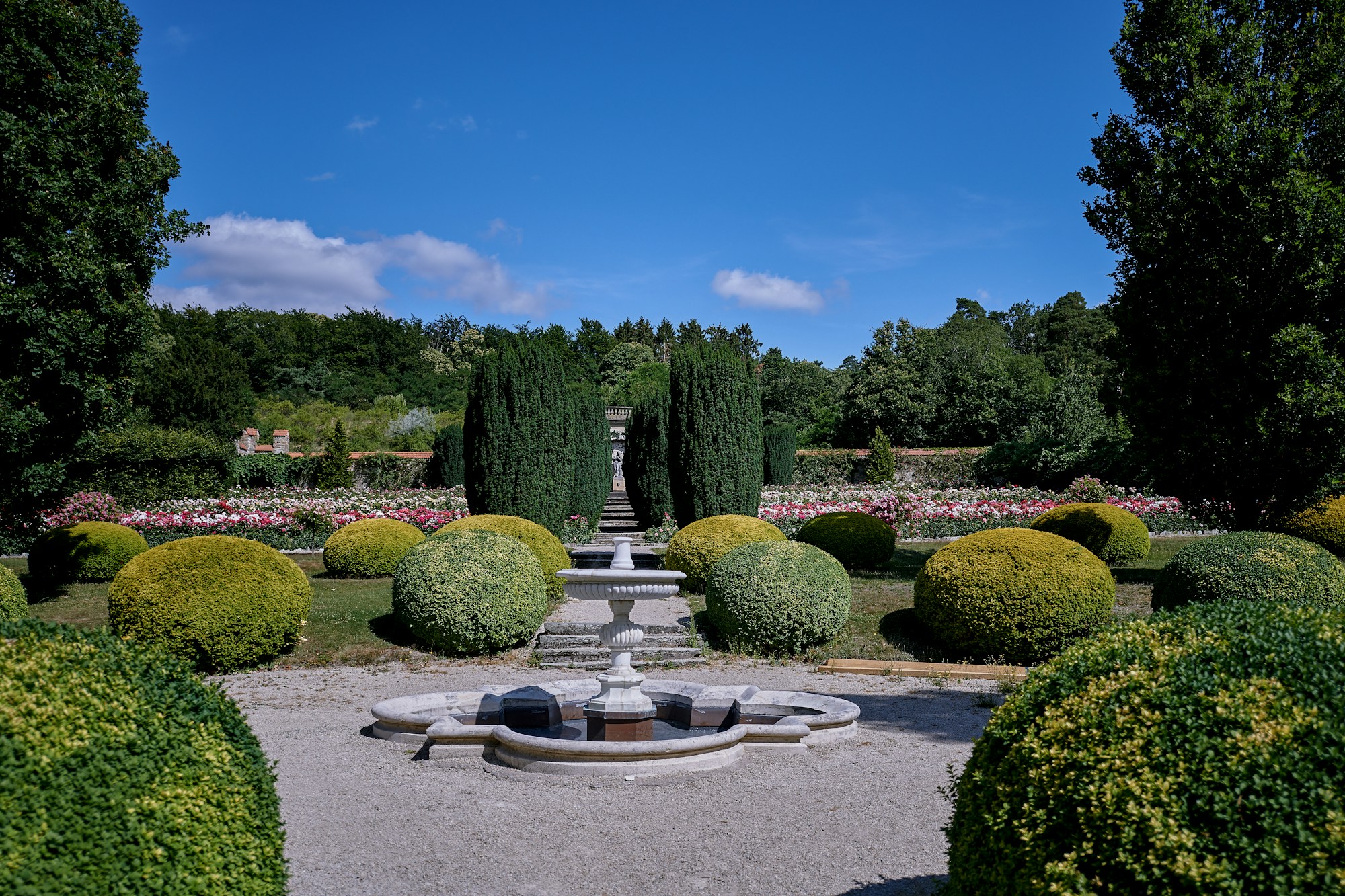 Rose Garden