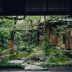 Deluxe Garden View