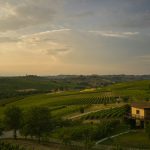 Suspended House In The Vineyards - View