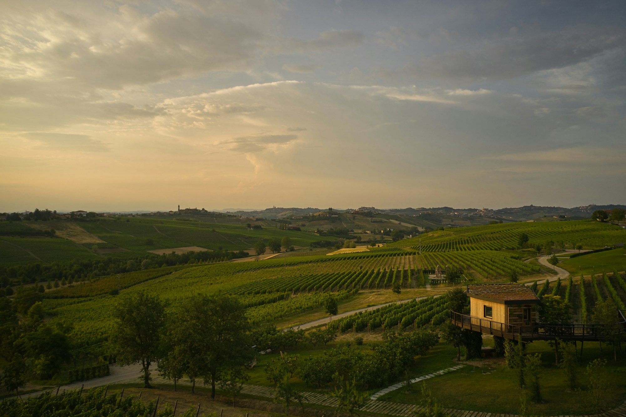 Suspended House In The Vineyards - View