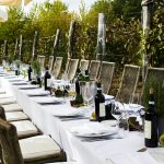 Lunch in the Vineyard