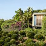 Tropical Garden