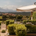 Restaurant - Patio