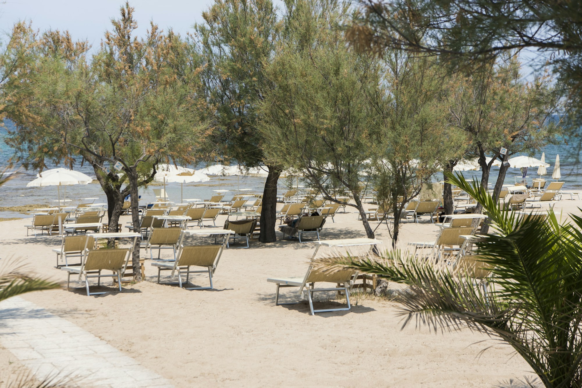 TAMERICI Beach Club