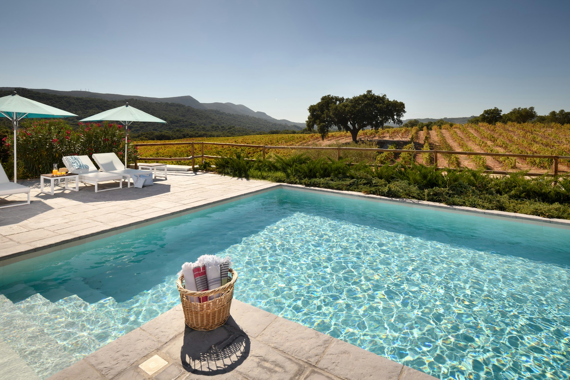 Adults Only Swimming Pool