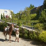 Horseback Riding