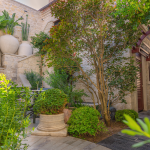 Courtyard