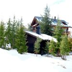 The Cabin