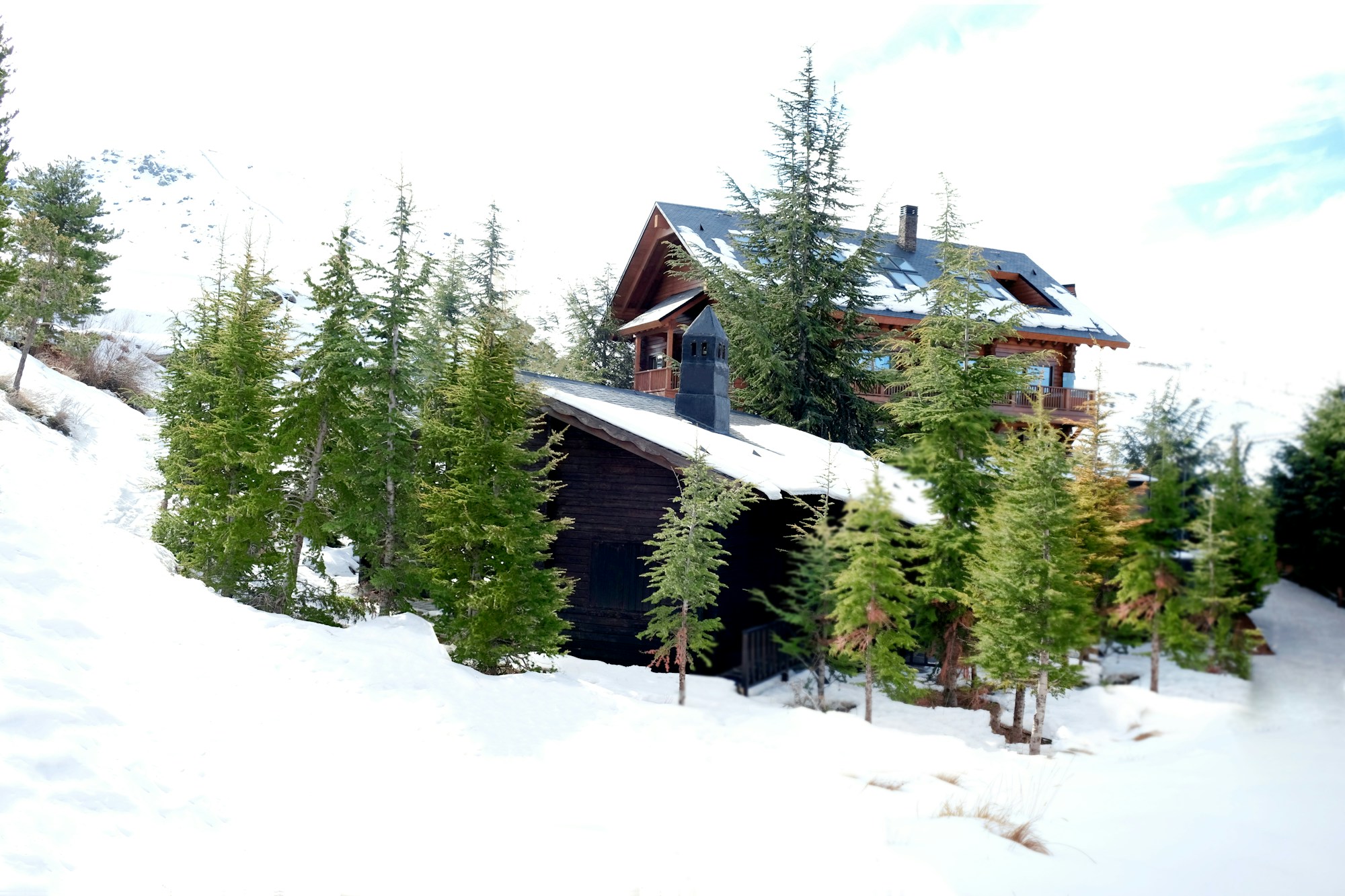 The Cabin