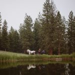 Evening horse-drawn carriage ride